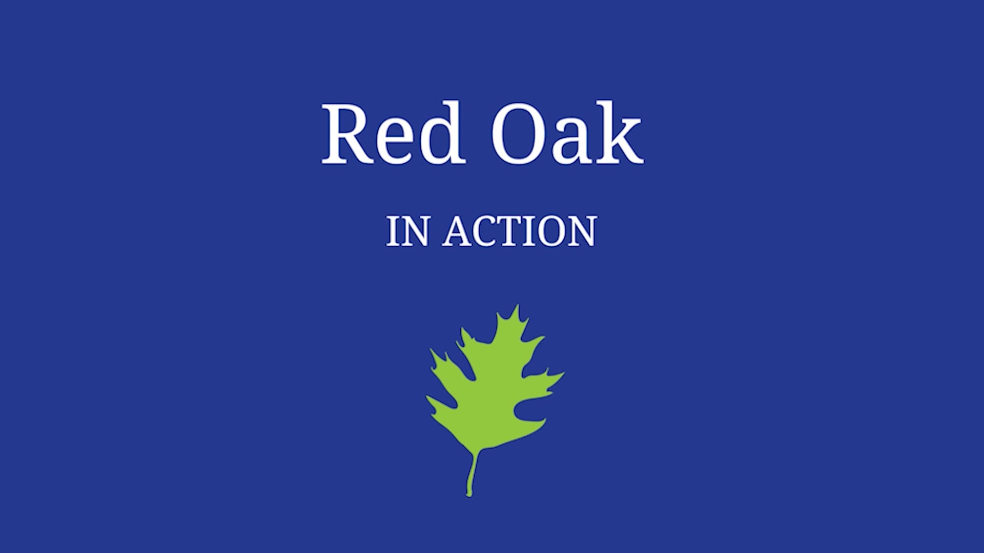 Red Oak in Action