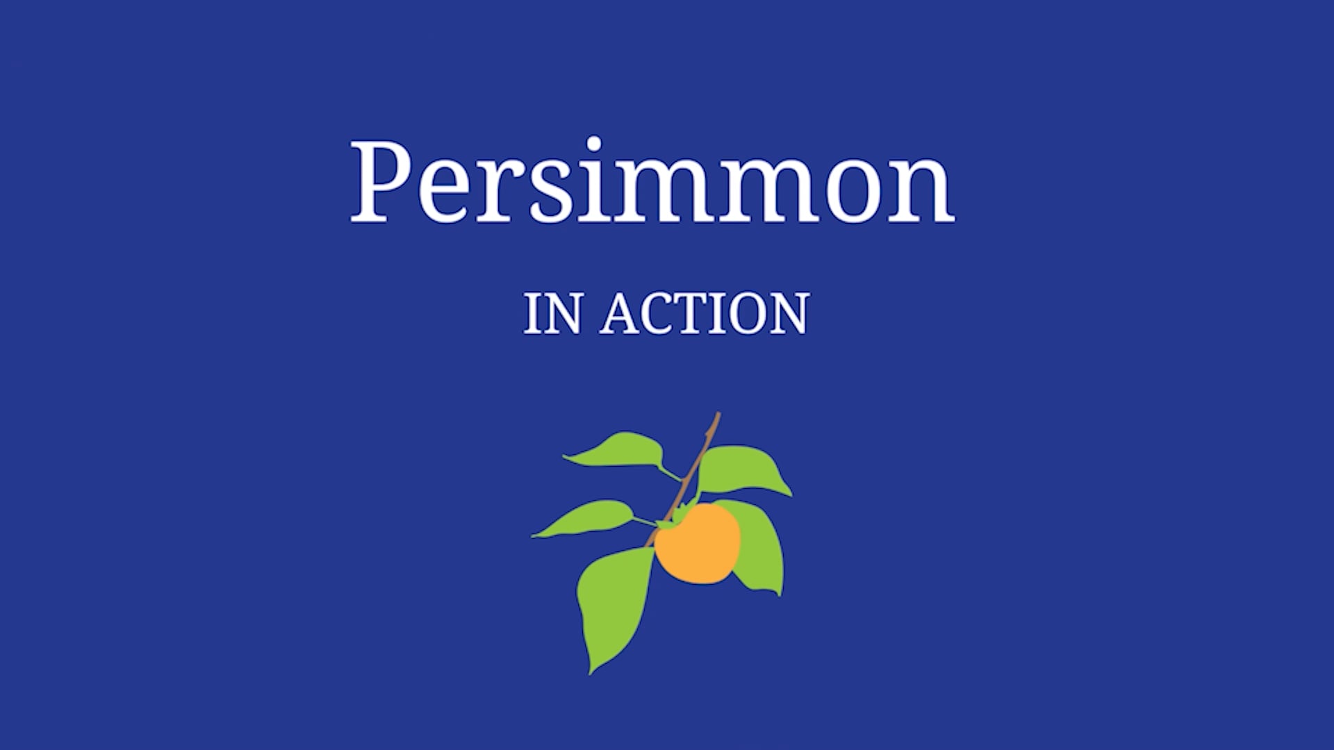 Persimmon in Action