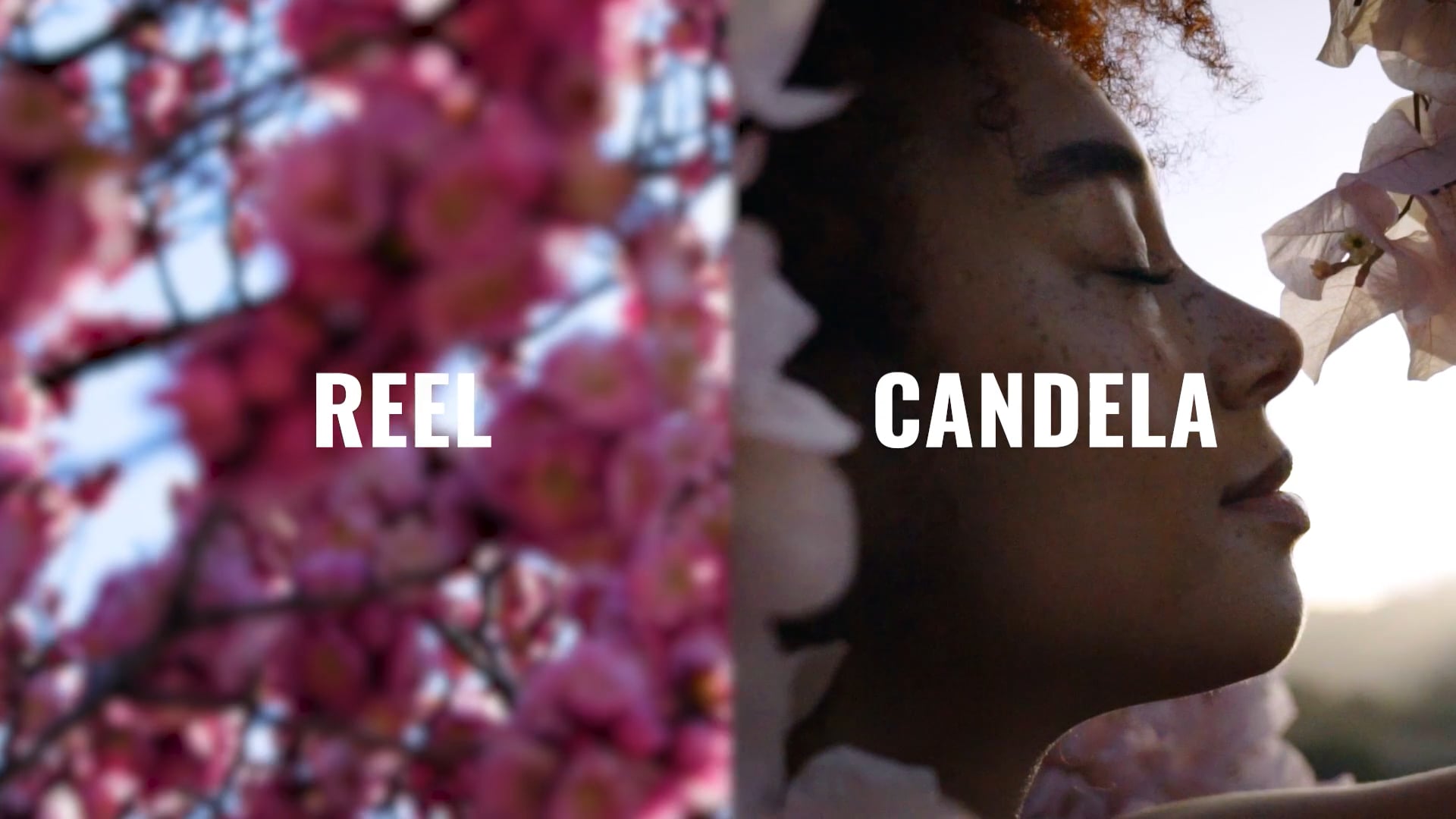 CANDELA | REEL | 22