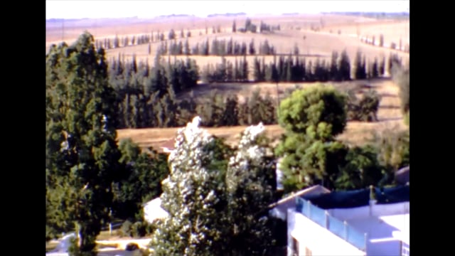 פועם בלבבות  thumbnail