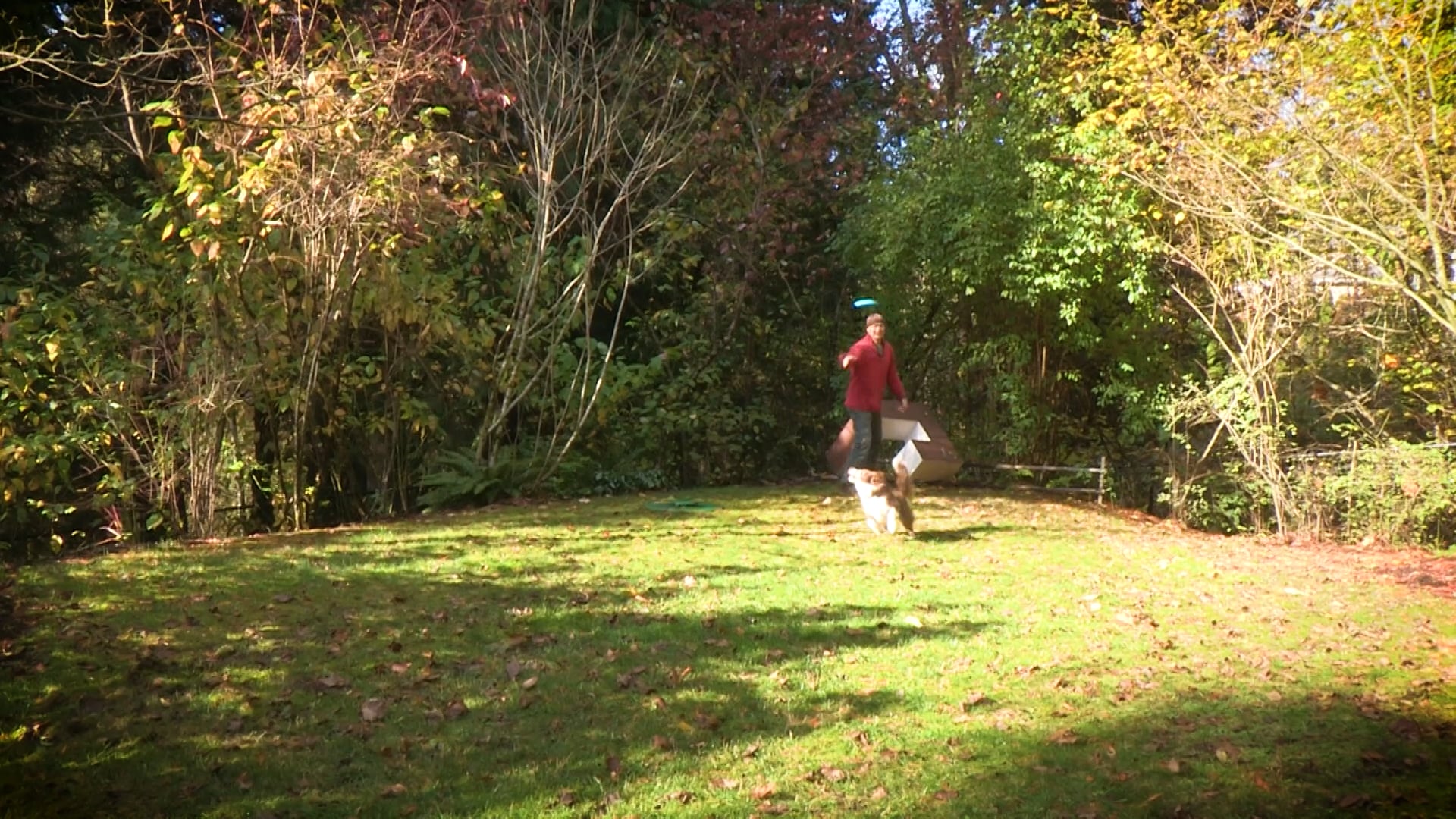 Ed McCarthy Artist Profile