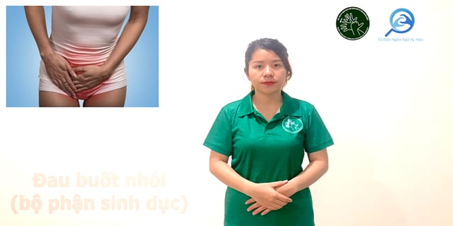 dau-buot-nhoi--bo-phan-sinh-duc-7560