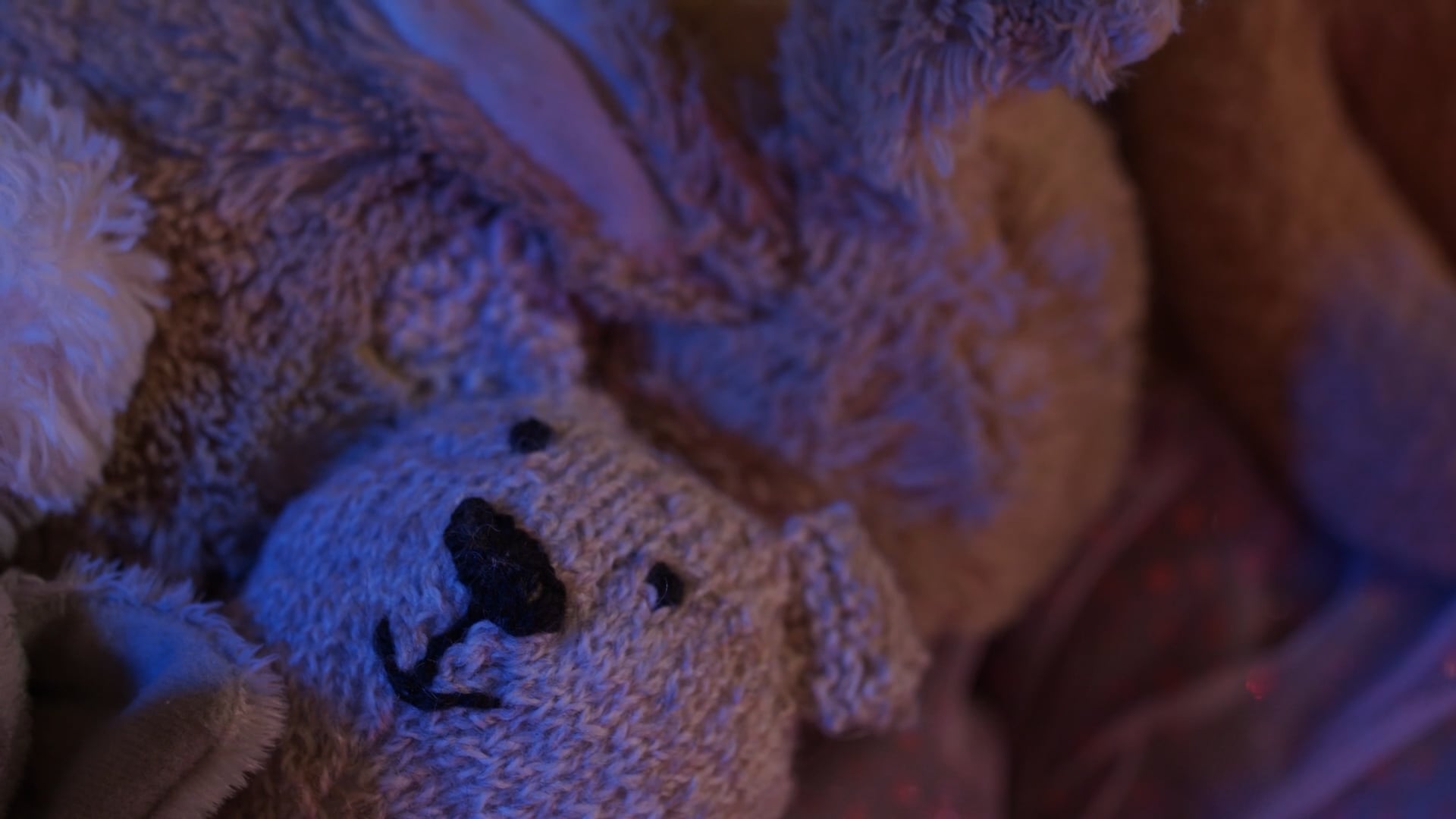 Gestation - The Motherload Films