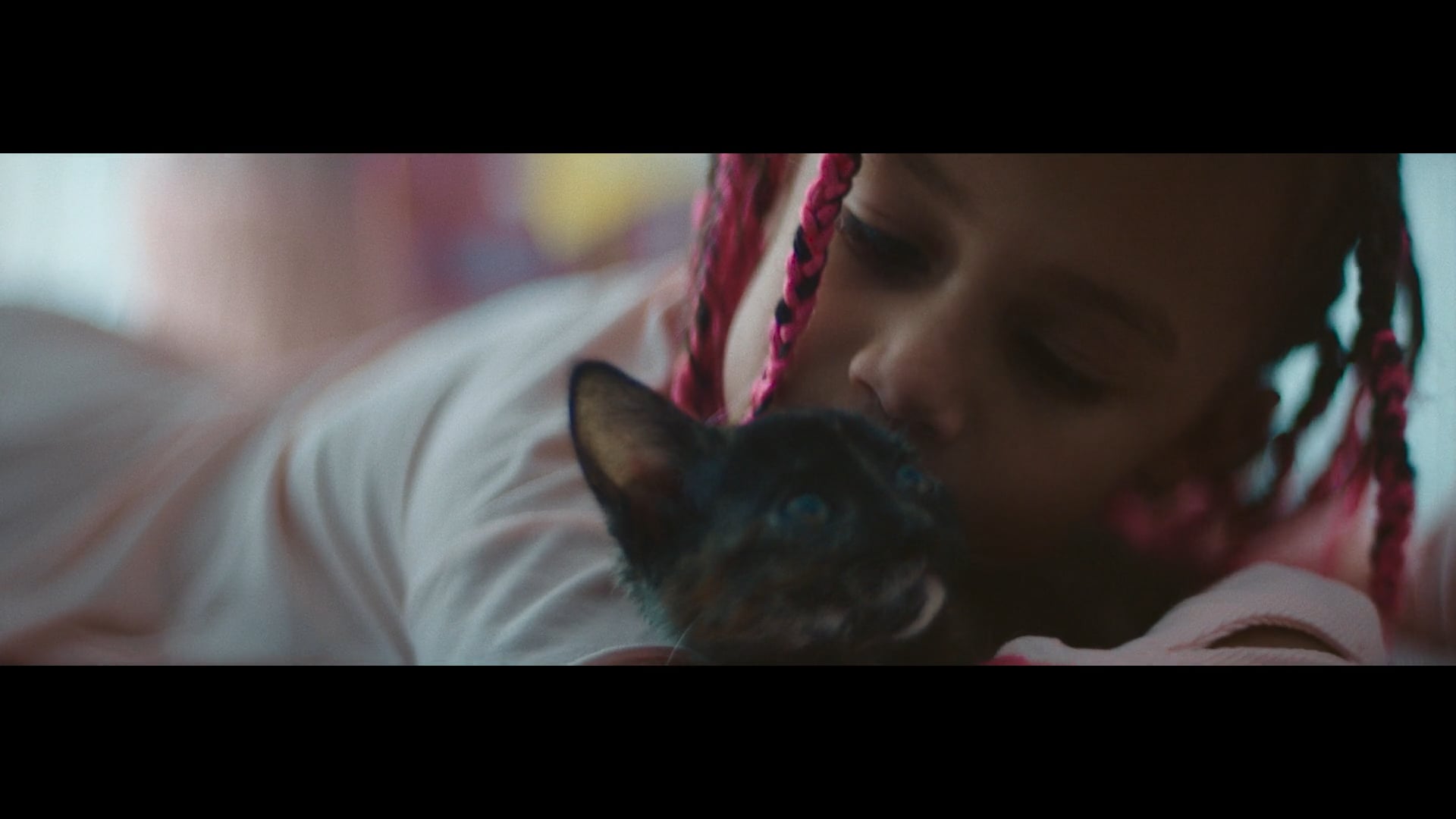 Shelter Pet Project PSA | Logan Ryan 30Sec Spot