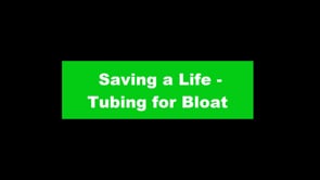 Save a Life - Tube Your Dog