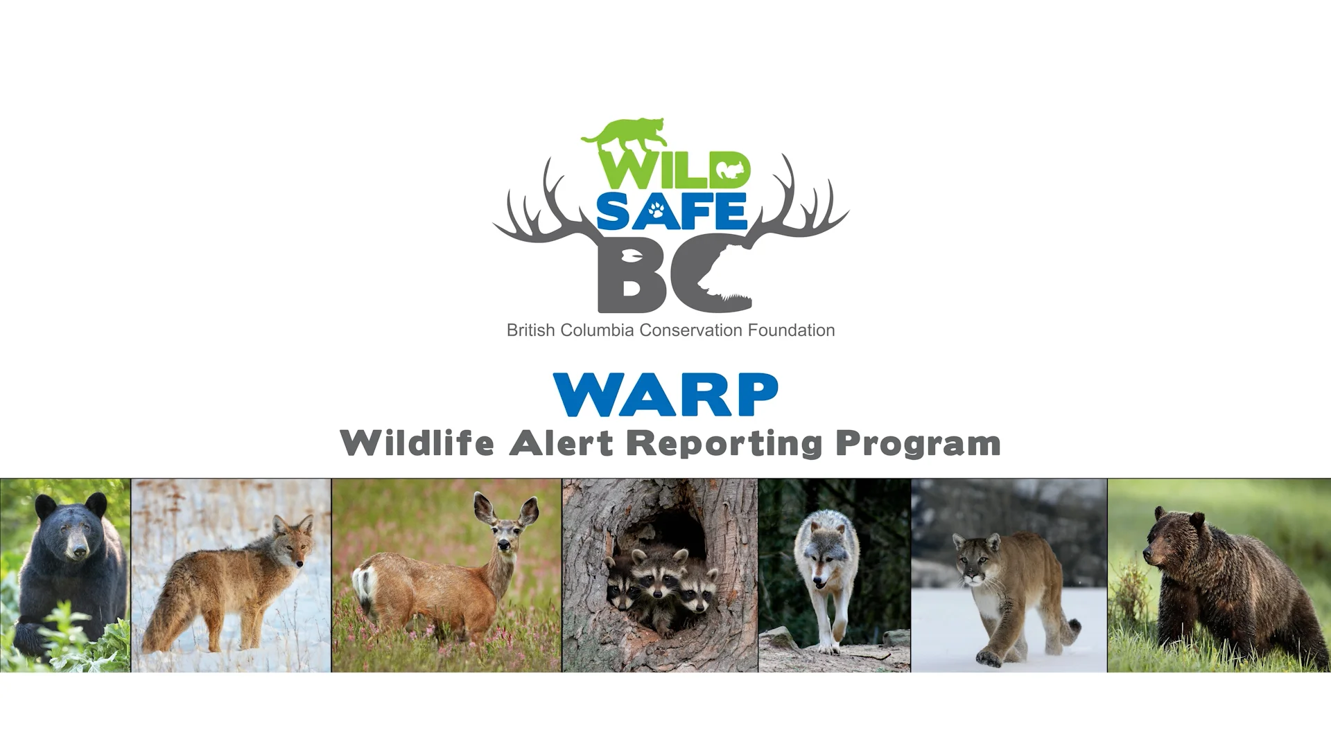Wildlife Alert Reporting Program (WARP) on Vimeo