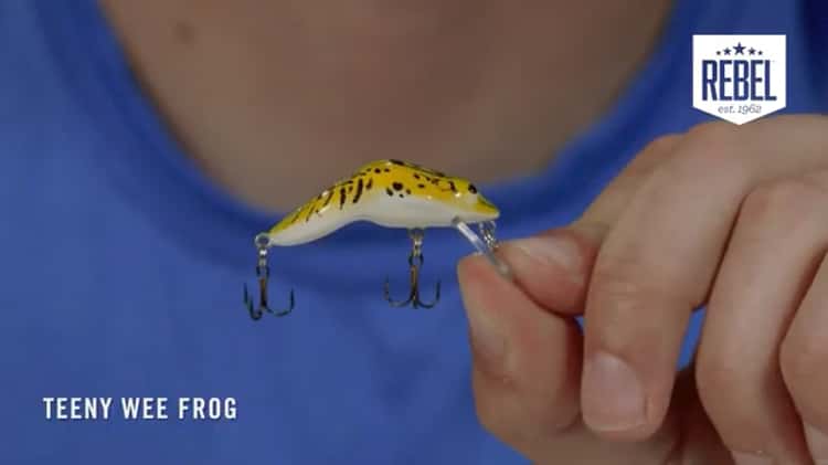 Rebel Wee Frog Fishing Lure