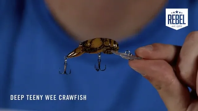 Rebel Deep Teeny Wee Crawfish Lure 1 1/2 inch Medium Diving Crankbait —  Discount Tackle