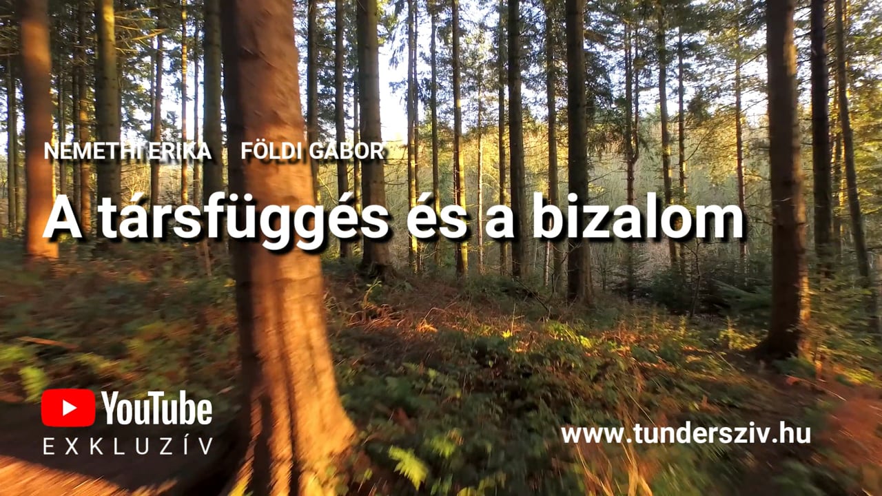 A társfüggés és a bizalom