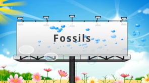 What is a Fossil - Types of Fossils - How are Fossils formed - Educational video for Kids