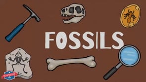 Fossils - Educational Earth Science Video for Elementary Students & Kids.mp4