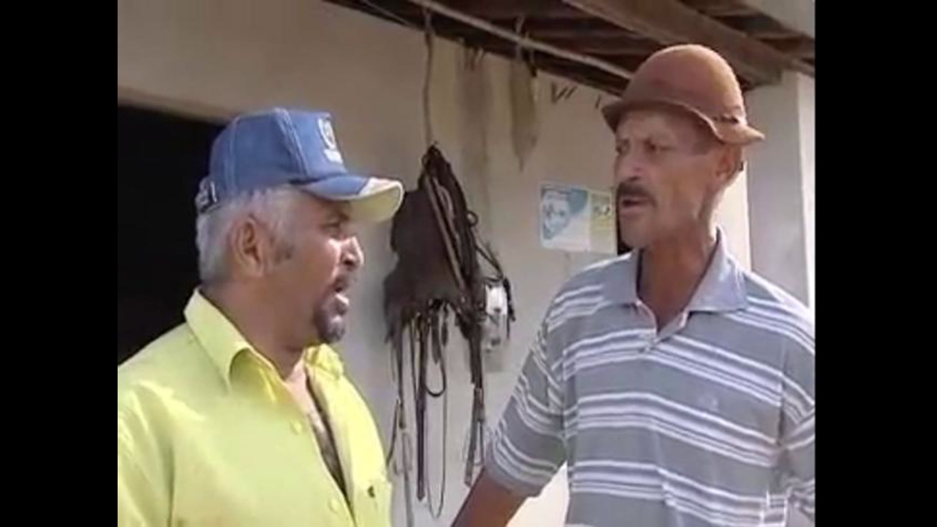 DOC ABOIO E TOADA