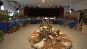 900 visitants a l'exposició de flors i bonsais