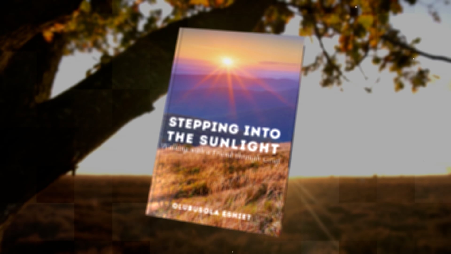 Stepping Into The Sunlight Book Trailer