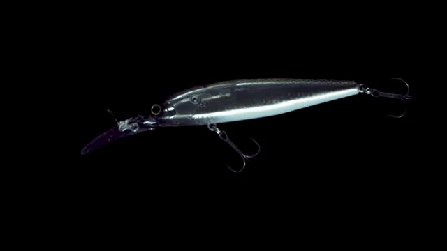 WORLD CRANK FLASH BOOST | BASS | FRESHWATER | HARDBAITS