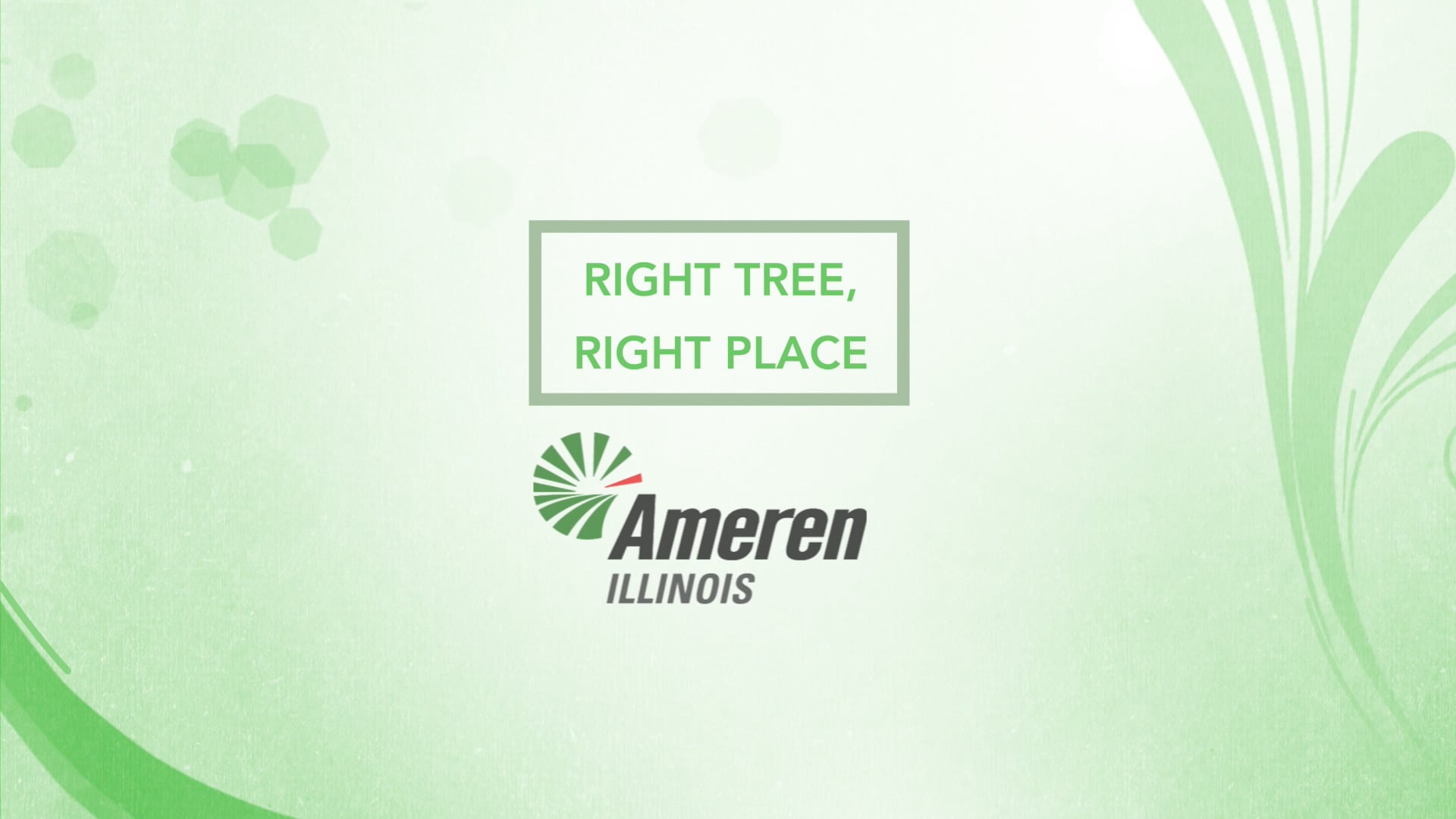 Right Tree in the Right Place