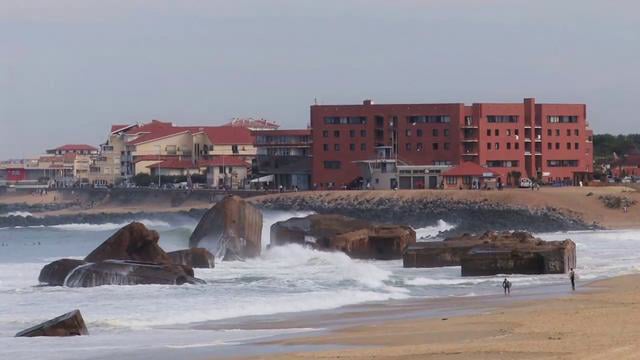 Chippasodes – France from Analog Clothing