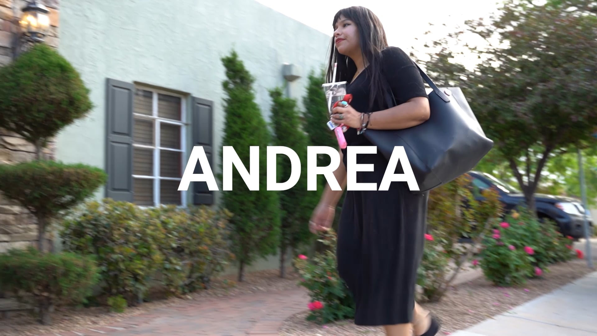 I am Andrea!: A Story of Transfer Student Resiliency