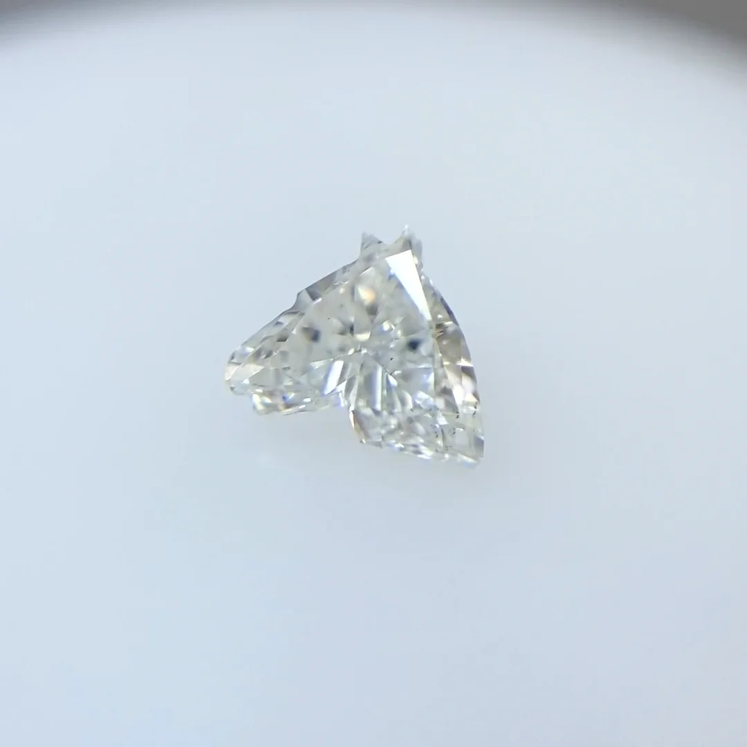 Horse headの形！ F VS2/0.428ct/RT1244/CGL