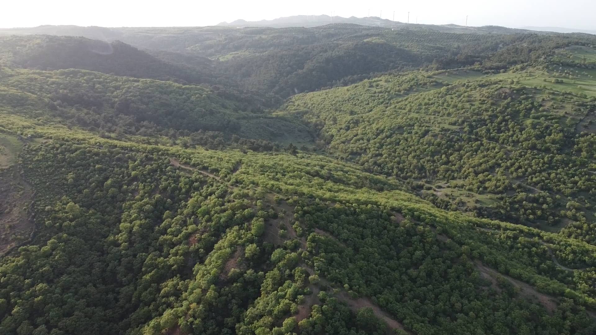 Tarla Çanakkale ÇANAKKALE, EZİNE, ARASANLI KÖYÜ�NDE 39 DÖNÜM SATILIK