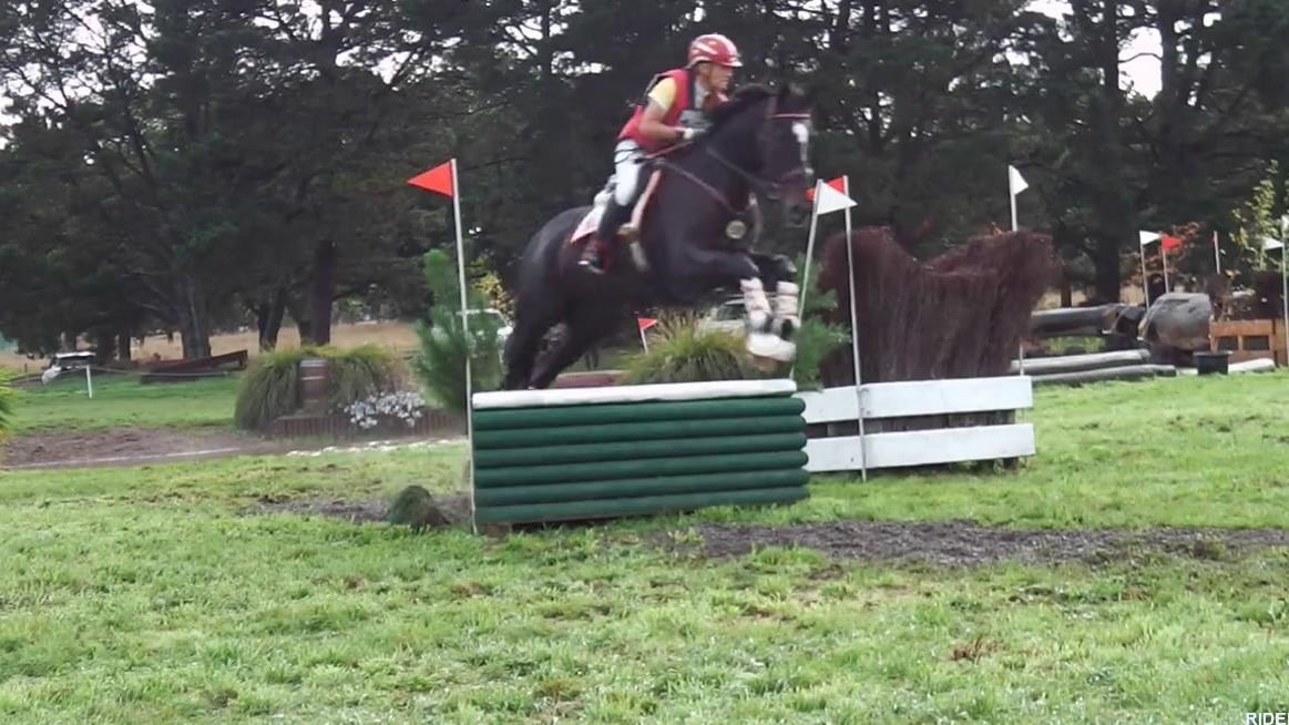 Delwyn Ogilvy riding Honourdale 159 EvA95 Ballarat International Horse