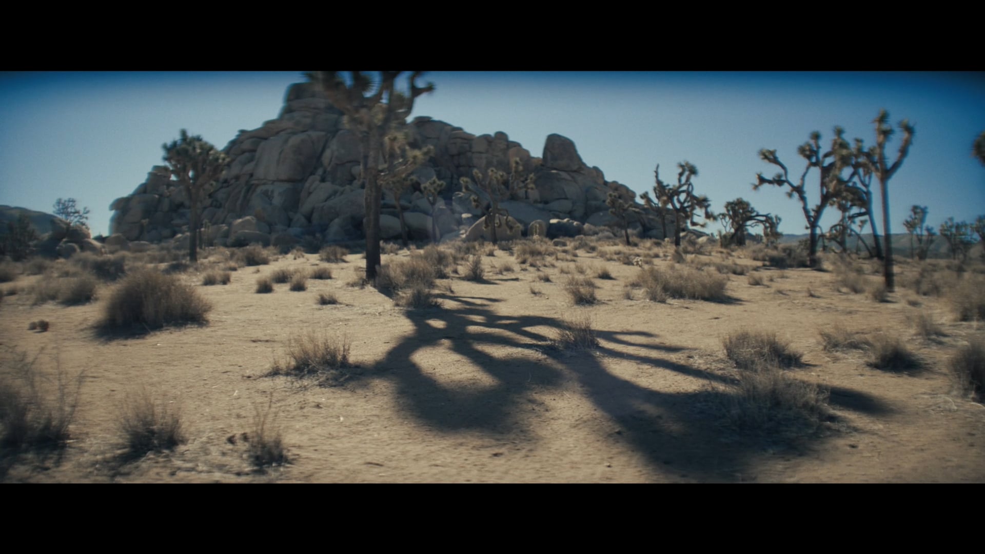 The Future Finds Us on Vimeo