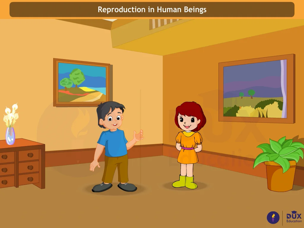 Reproduction in human beings on Vimeo