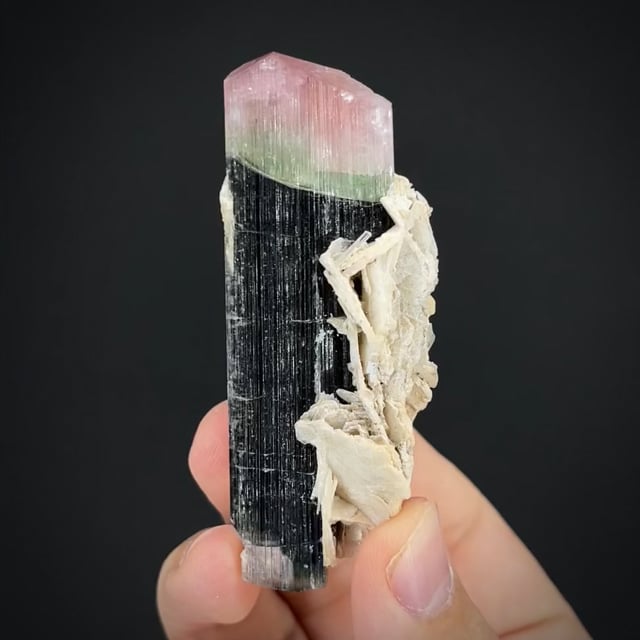 Tourmaline (Doubly Terminated) with Albite