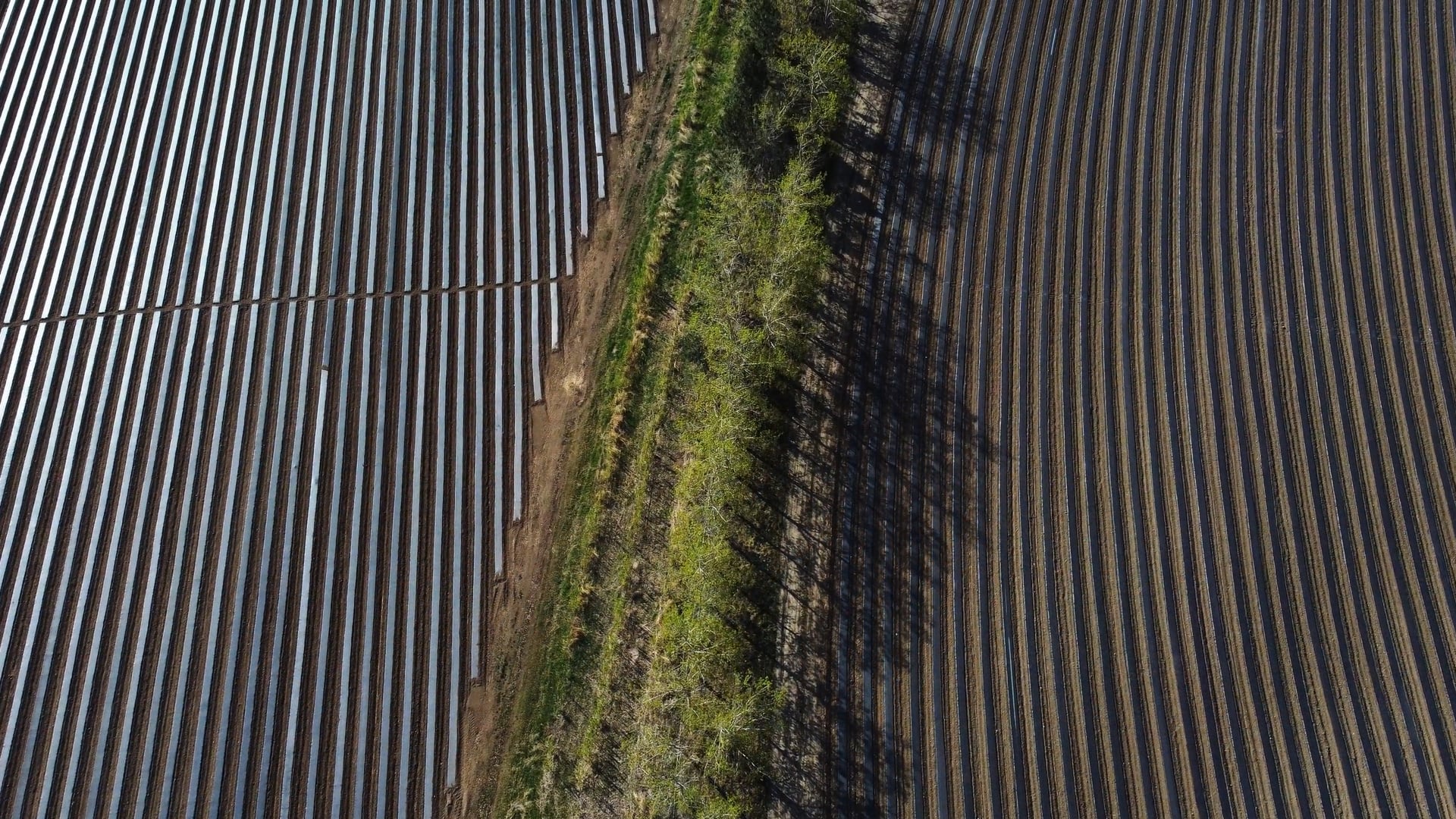 Bioform | Agricultural Films
