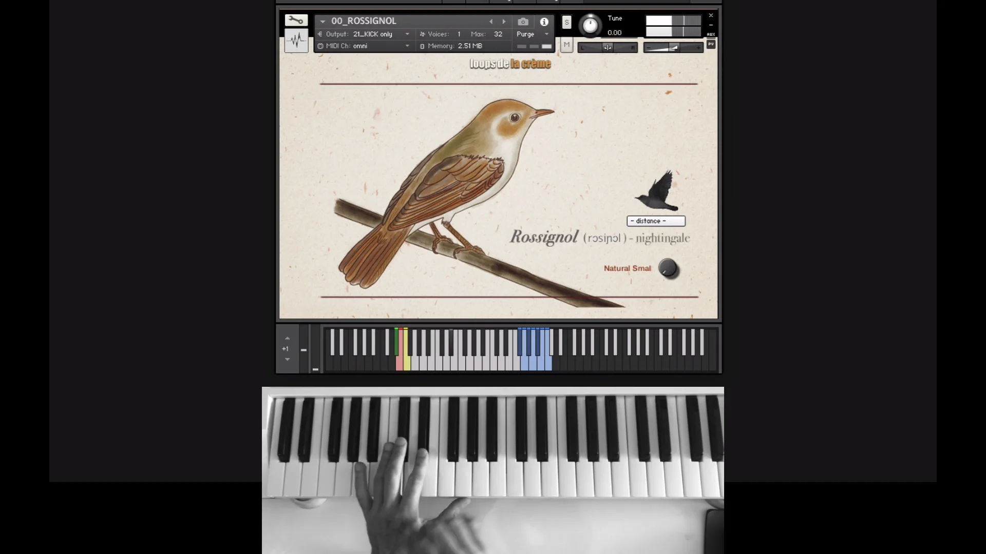 SONGBIRD VIRTUOSO — loops de la crème