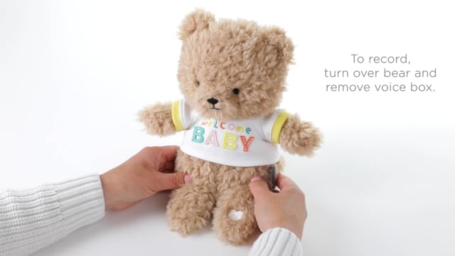 recordable teddy bear hallmark