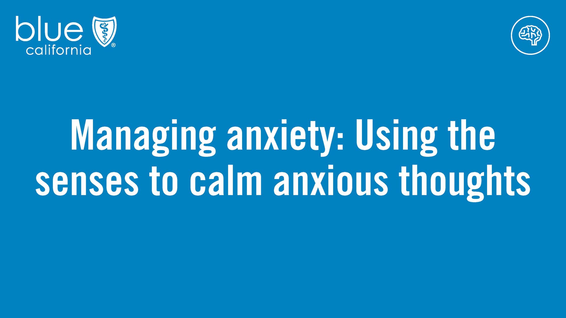 managing-anxiety-using-the-senses-to-calm-anxious-thoughts-on-vimeo