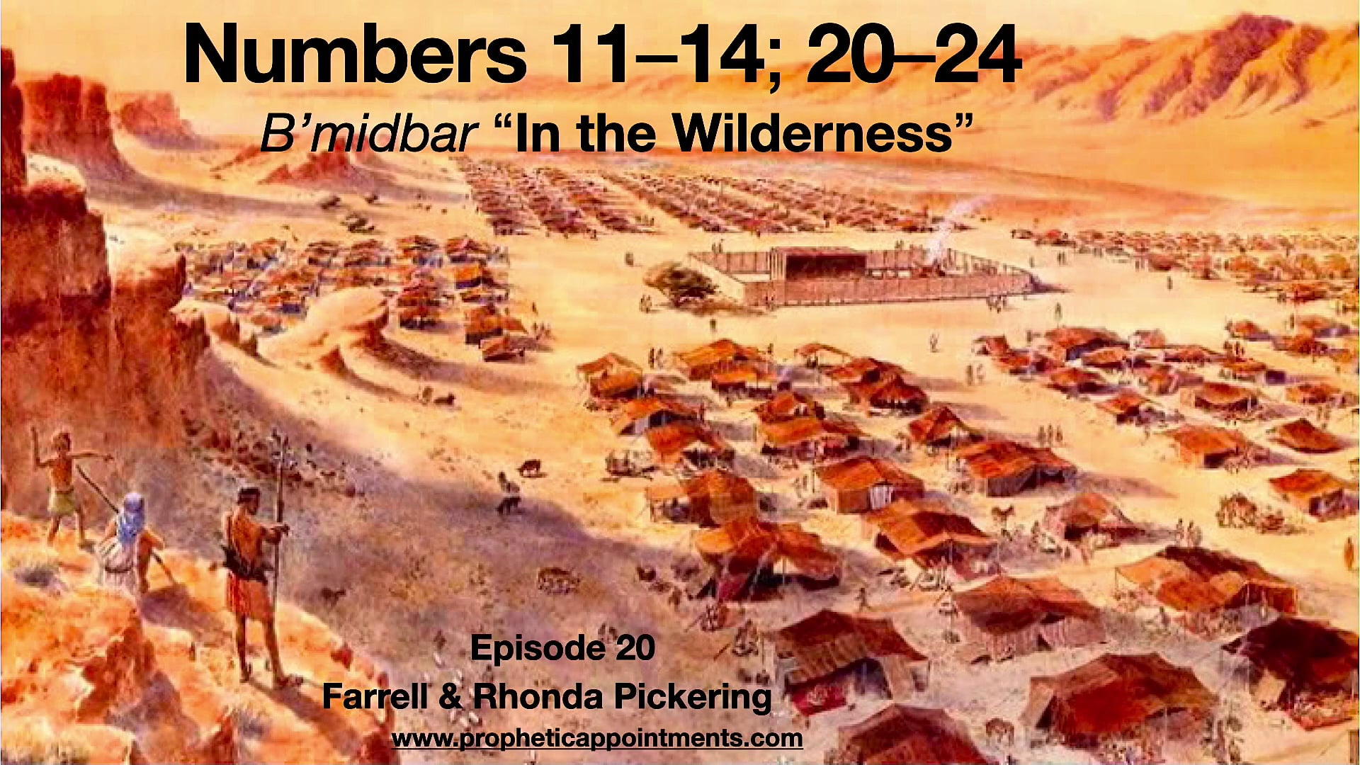 EP 20 Numbers 11-14, 20-24 Come Follow Me 2022 Farrell & Rhonda Pickering "Profound Stories in the Wilderness"