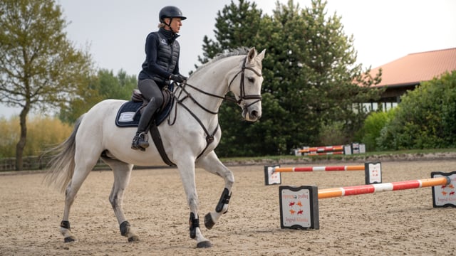 Circle Jumping with Ingrid Klimke