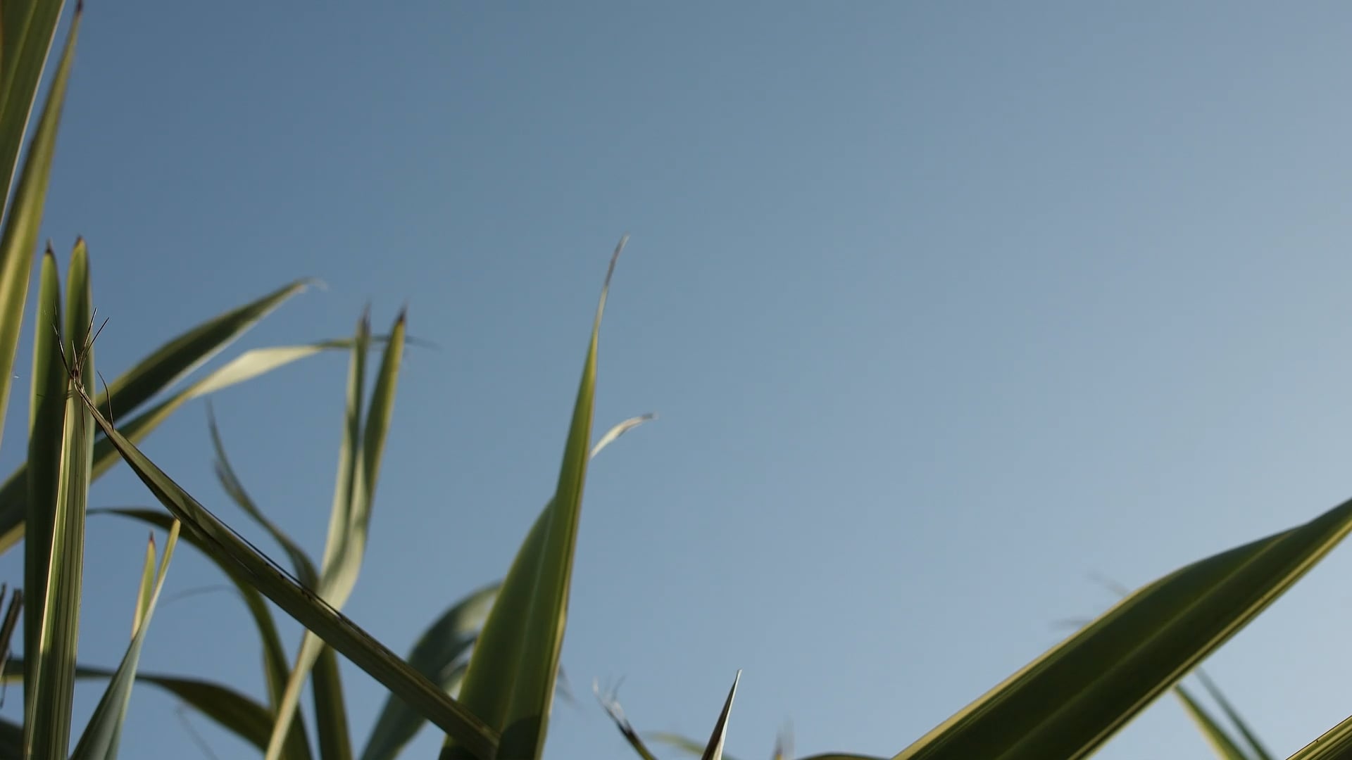 Miray Daner x Re Touch Mag