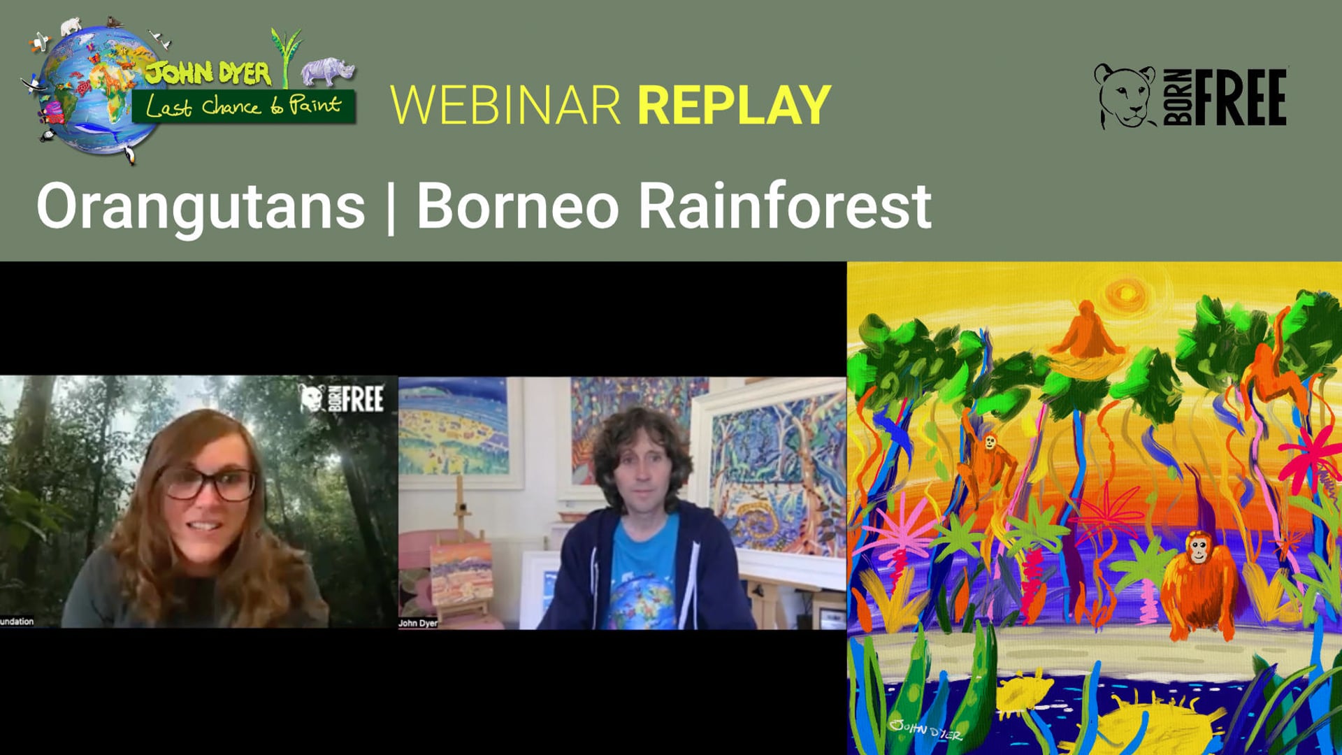 Paint and learn about orangutans in the Borneo rainforest