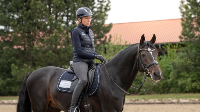 Warm Up with Ingrid Klimke 
