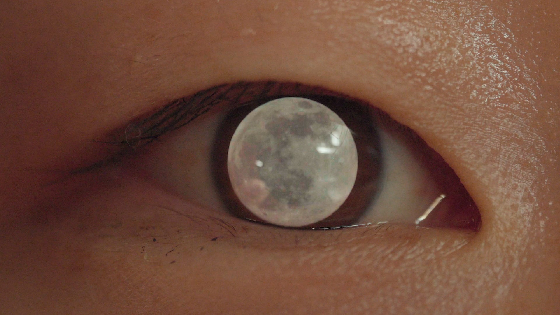 The moon and her meal