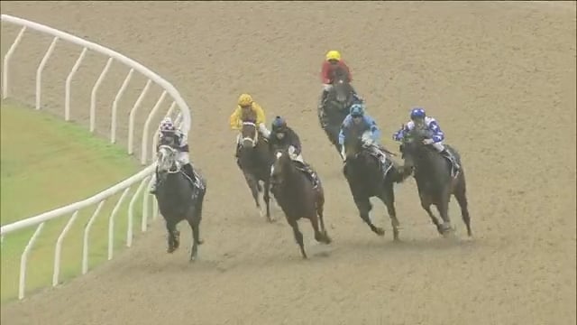 Better Than Ready - Stallion | Breednet