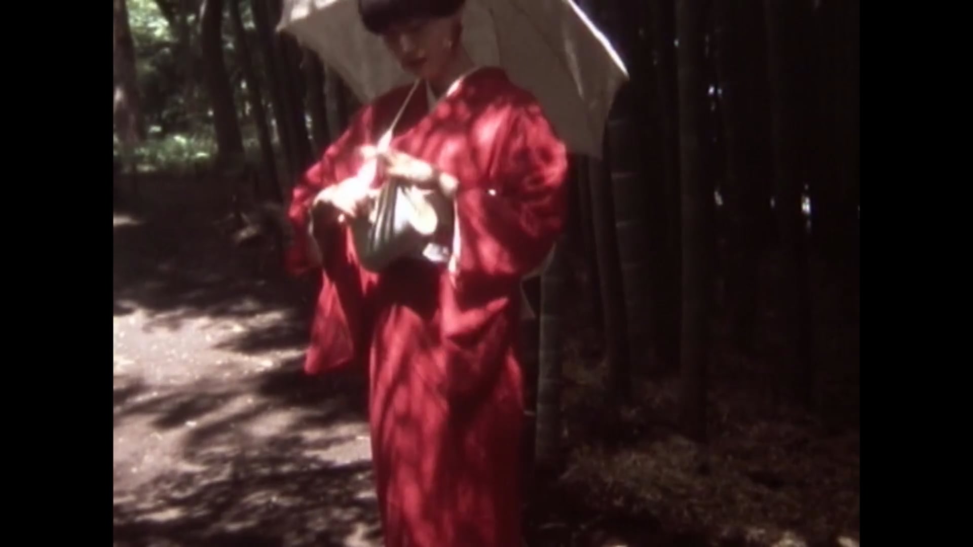 夏の蝶
