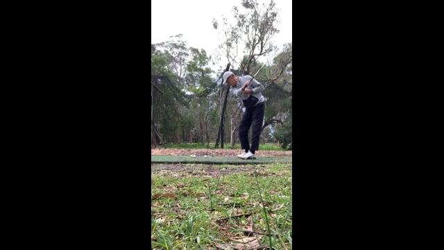 Play swing video