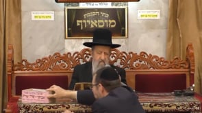 יום הילולת רבי מאיר בעל הנס עליו השלום אייר תשפב