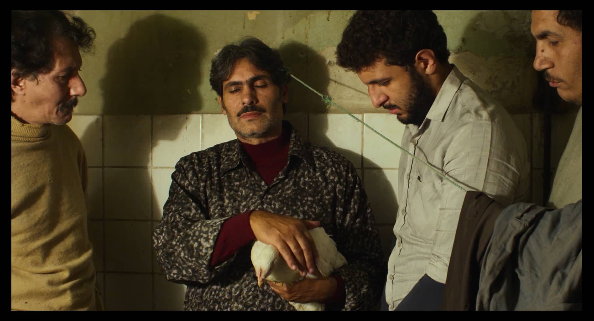 Trailer - PLUMES (Feathers) de Omar El Zohairy on Vimeo