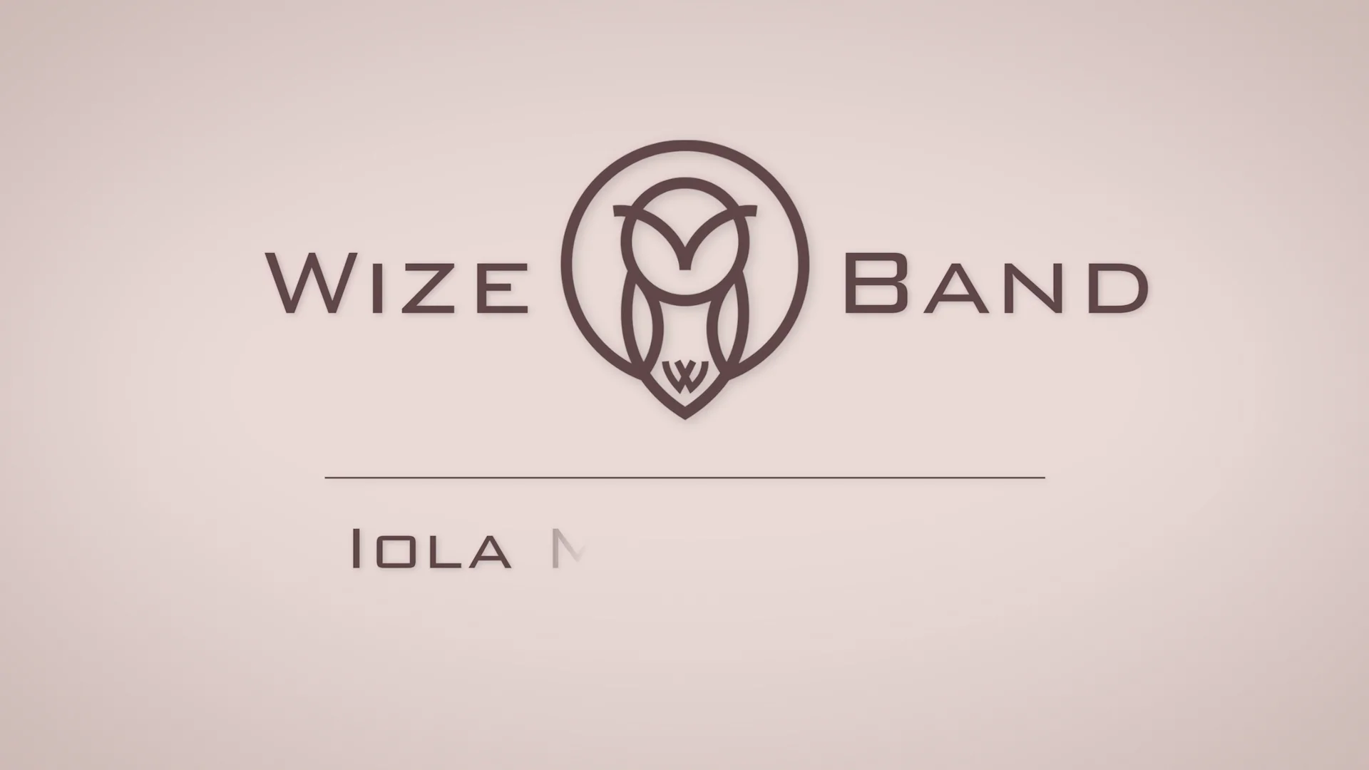 Wize band 2024