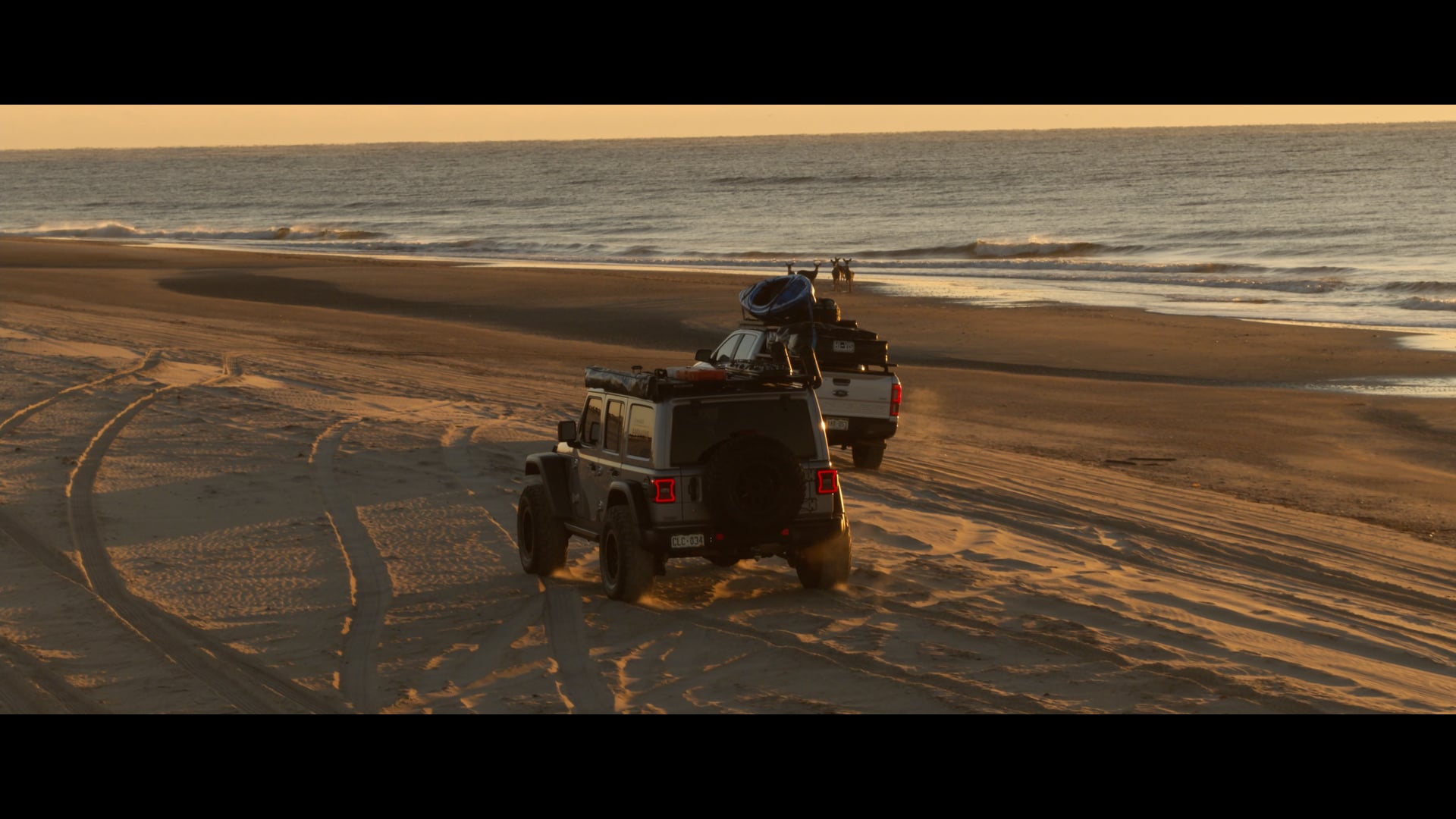 Auto Reel