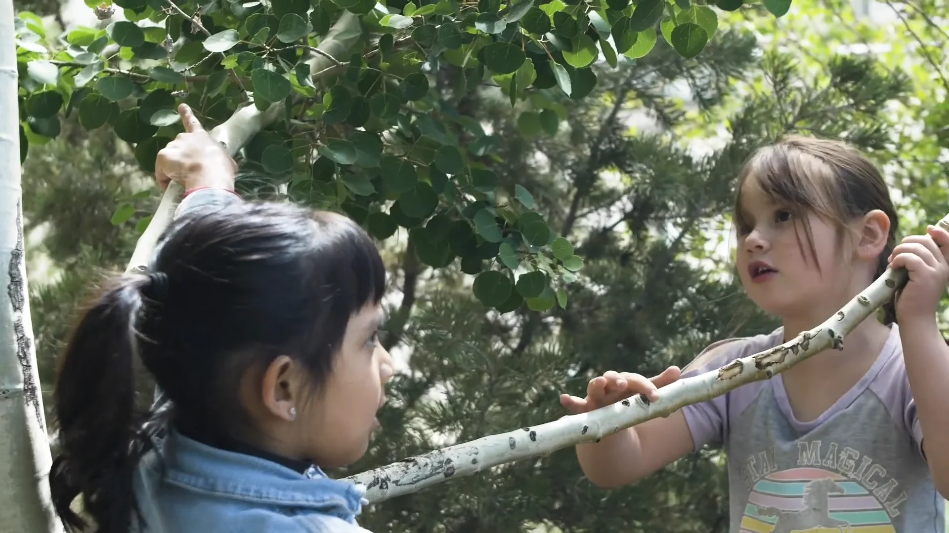Growing Our Work on Vimeo