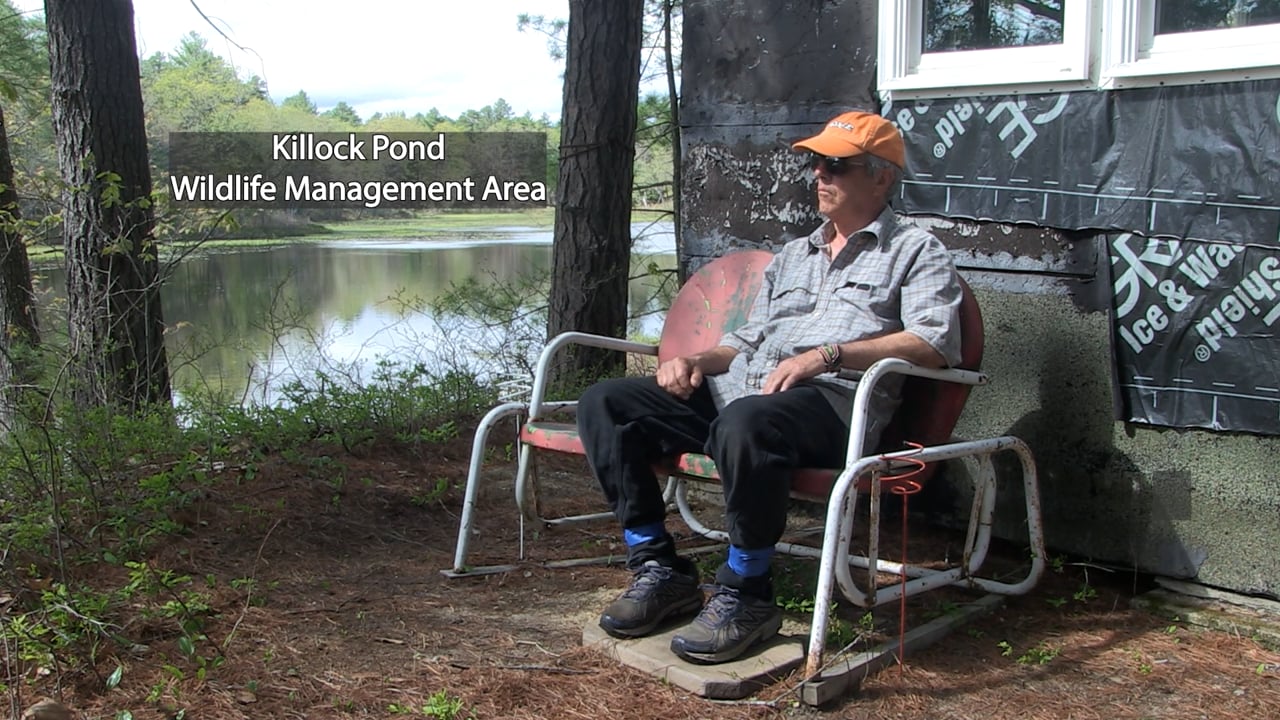 Killock Pond Wildlife Management Area