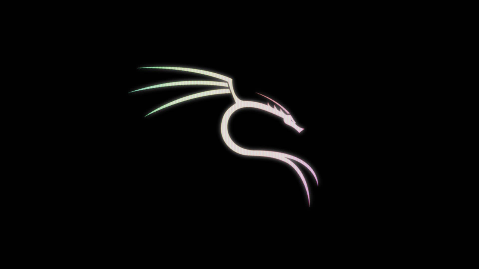 Kali Linux Screensaver / Hollywood Activate on Vimeo