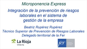Micropíldora express - Integración de la prevención de riesgos laborales en el sistema de gestión de la empresa