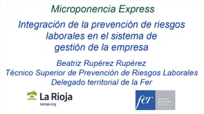 Micropldora express - Integracin de la prevencin de riesgos laborales en el sistema de gestin de la empresa